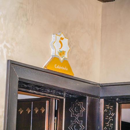 La Esperanza Hotel Alcala del Valle ภายนอก รูปภาพ